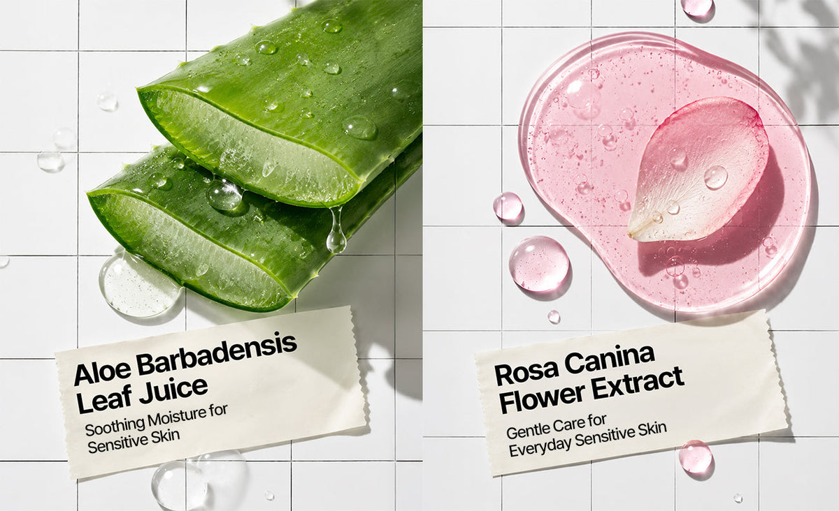 Ingredient Deep Dive ⑤ Why Aloe, Calendula & Rosehip Work Better Together